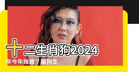 屬狗今年幾多歲|2024屬狗生肖年齡對照表 